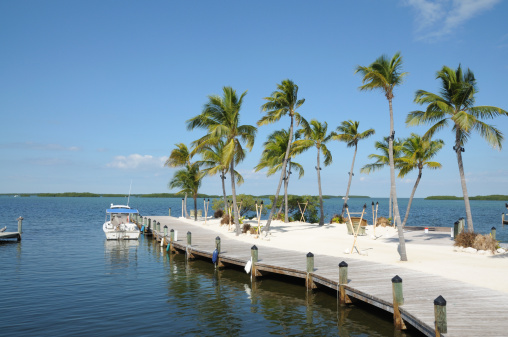 Jetty and Palm Trees, Florida Keys  