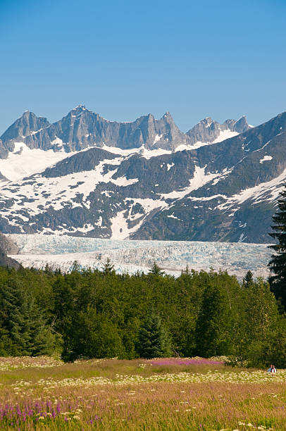 istock Mendenhall Glacier, Alaska 155326738