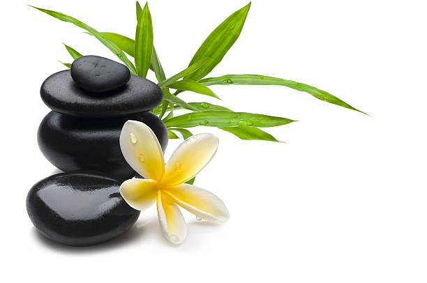 istock Spa stones and glower on white 155326805
