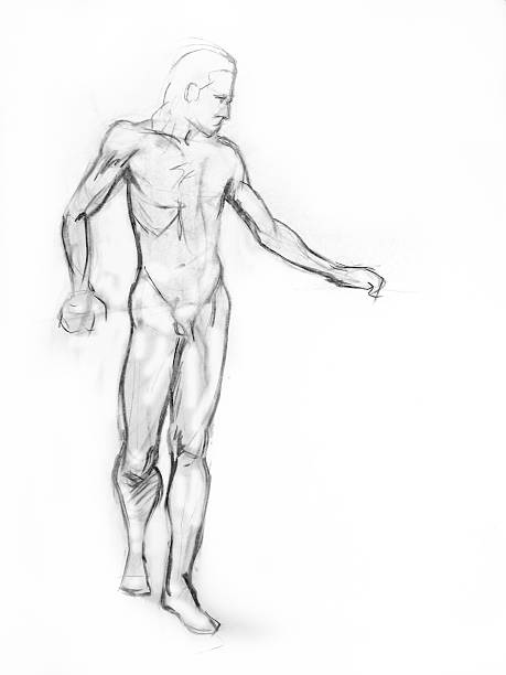 Charcoal line drawing of powerful standing nude male vector art illustration