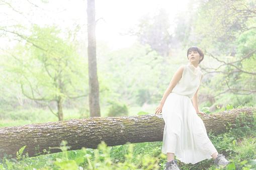 A young Asian woman is sitting on a fallen tree. sunlight filtering through trees.Back light.