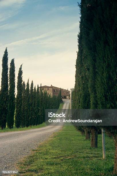 Casa De Quinta Em Toscana - Fotografias de stock e mais imagens de Agricultura - Agricultura, Ajardinado, Ao Ar Livre
