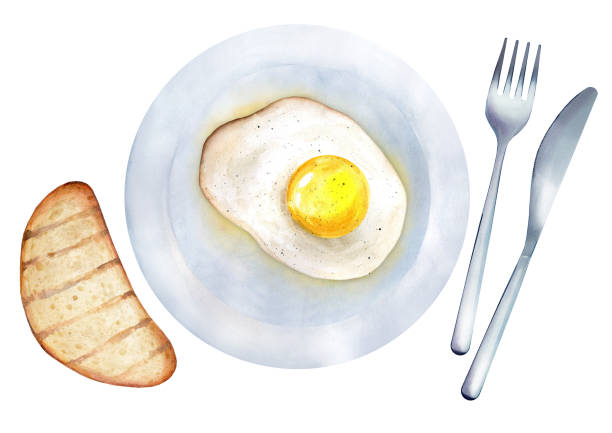 spiegelei auf einem telleraquarell. weißer isolierter hintergrund - fork plate isolated scrambled eggs stock-grafiken, -clipart, -cartoons und -symbole