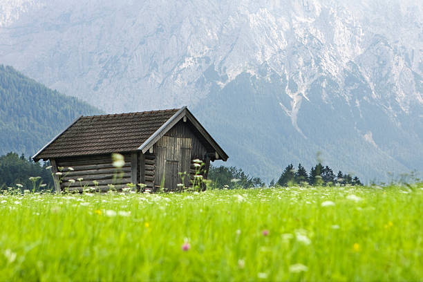 Free Stock Photo of Small Log Cabin on Lush Green Field | Download Free ...