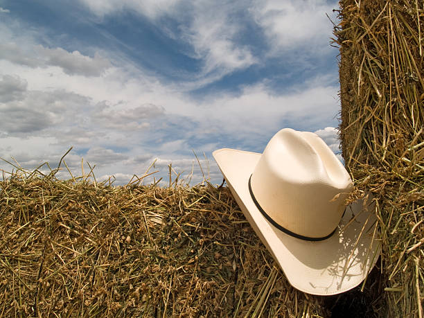 istock Cowboy hat in a straw bale 155328922
