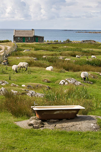 Irish coast view - Connemara stock photo