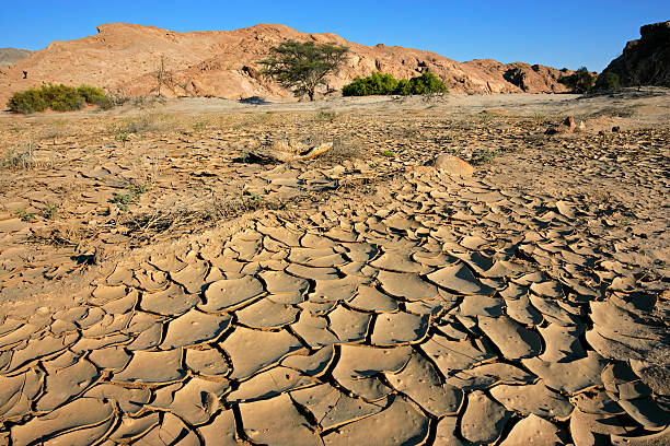 istock Dry river, Namib desert 155329719