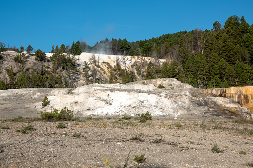 Cleopatra Terrace at Mammoth Hot Springs in Yellowstone National Park in Park County, Wyoming
