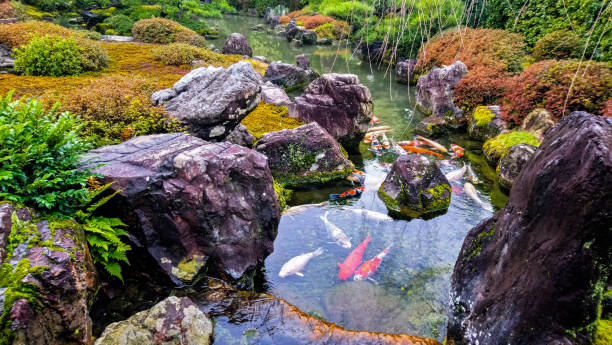 istock Japan Landscape Nature Life Travel 1553299566