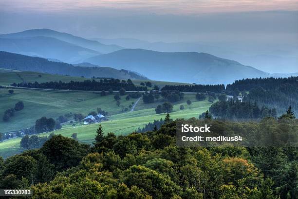 Photo libre de droit de Schauinsland Schwarzwald N 1 banque d'images et plus d'images libres de droit de Fribourg-en-Brisgau - Fribourg-en-Brisgau, Arbre, Brouillard