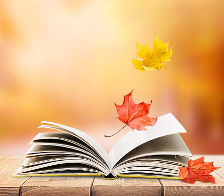 open book in a public park on a wooden table with falling autumn leaves