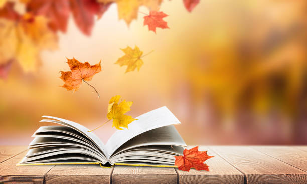 istock open book and falling autumn leaves 1553305640