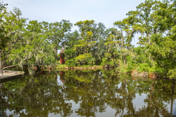 istock City Park New Orleans 1553319879