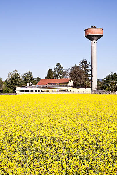 Country and water tower