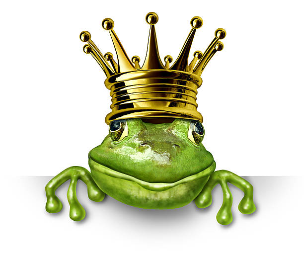 the golden crown of the king on a black background in the fall