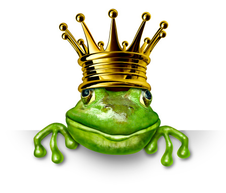 Frog prince with gold crown holding a blank sign representing the fairy tale concept of change and transformation from an amphibian to royalty.