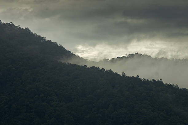 istock Beautiful sunshine at misty morning mountains 1553350564