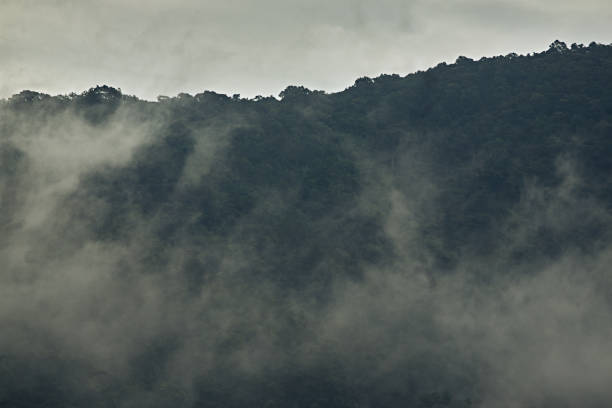 istock Beautiful sunshine at misty morning mountains 1553352177