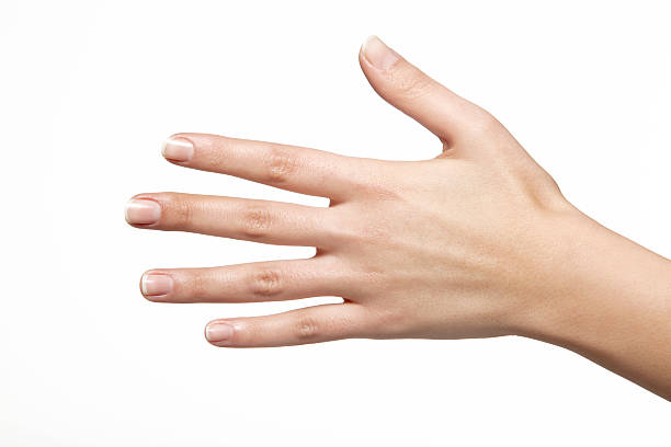 female hand is reaching out to shake hands stock photo