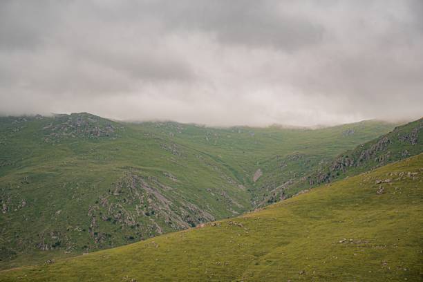 istock Armenian mountains in summer 1553363359