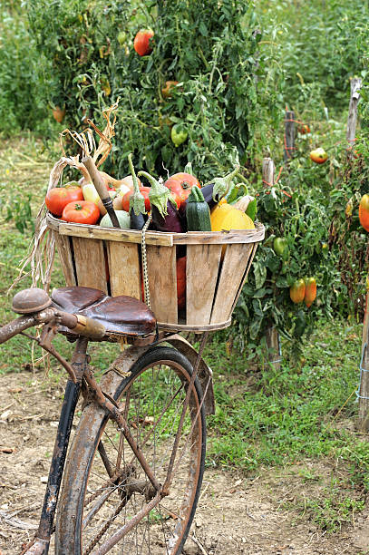 vegetables bike stock photo