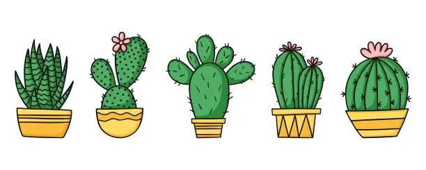 Vector illustration of Set cute green cactus and succulents in yellow pots. Cartoon vector illustration