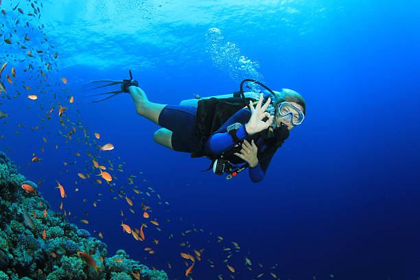 Scuba Diver explores coral reef with tropical fish