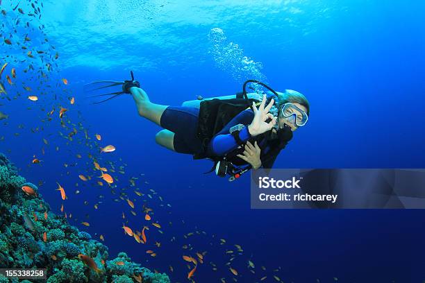 Beautiful Woman Scuba Diving Stock Photo - Download Image Now - Scuba Diving, Underwater Diving, Women
