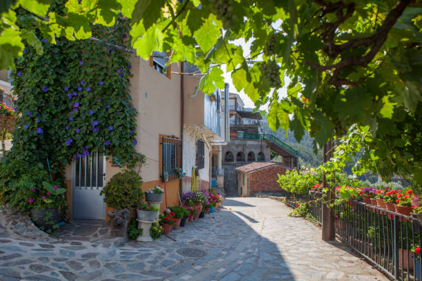 Casares town, Las Hurdes Region, Spain Casares, beautiful little town in Las Hurdes Region, Caceres, Extremadura, Spain. Focus on building spanish flower pots stock pictures, royalty-free photos & images