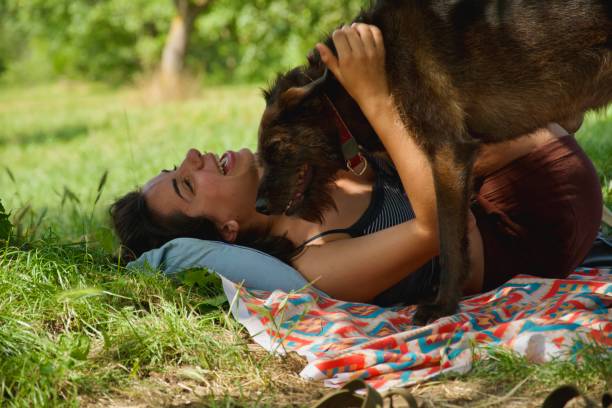 istock Girl and dog joyful 1553397254
