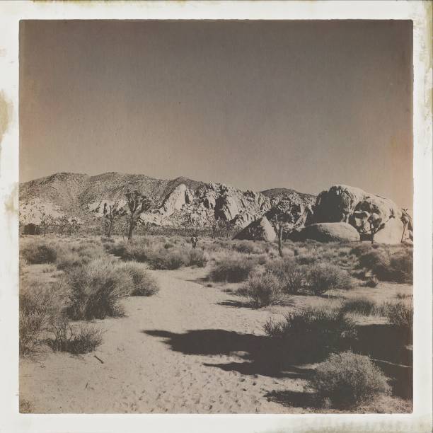istock Desert Scene in Joshua Tree, California Desert 1553406144