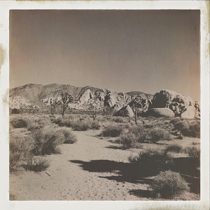 Scenes from Joshua Tree, California desert
