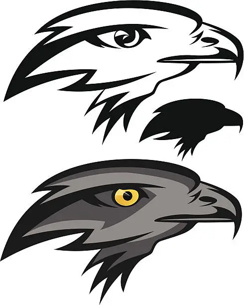 Vector illustration of falcon