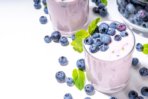 Blueberry yogurt, smoothie or milkshake on portioned glasses with fresh blueberries decor on it, and a lot of fresh berries on white kitchen table background copy space