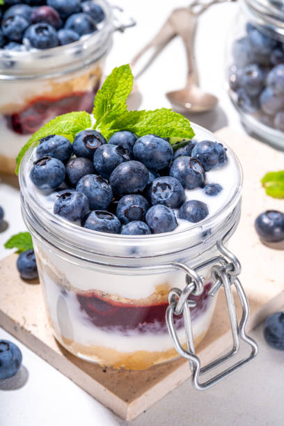 istock Layered blueberry parfait dessert 1553461719