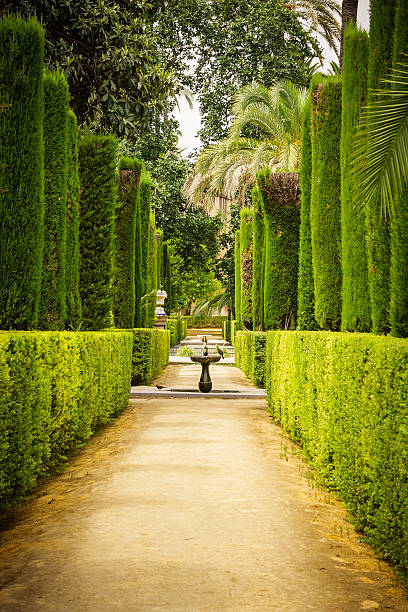 jardin des poètes à alcazar, séville - seville sevilla alcazar spanish culture photos et images de collection