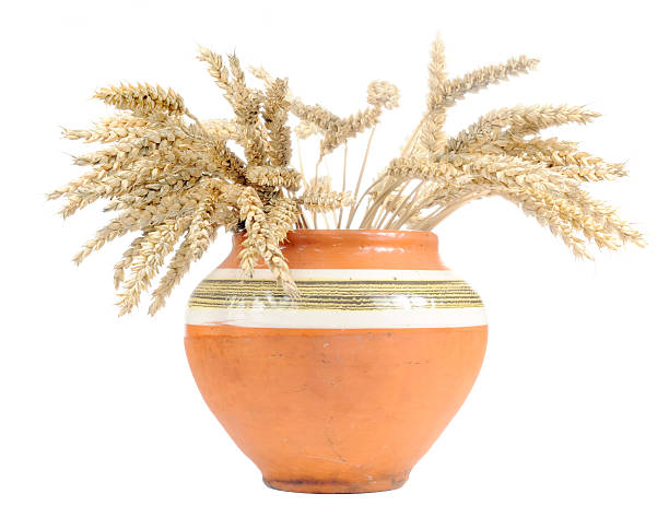 istock Ears of Wheat in Clay Pot 155346524