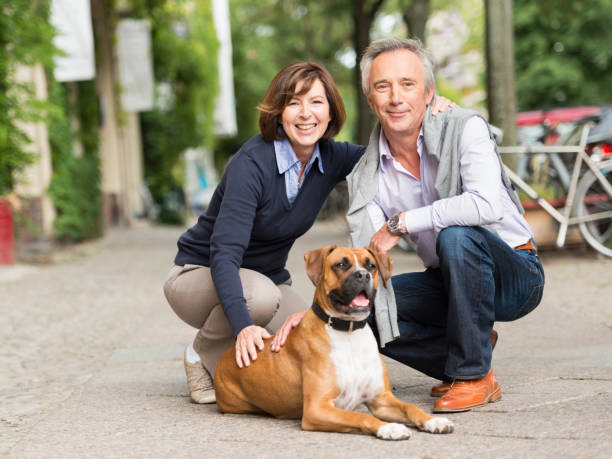 istock Mature Couple with Dog 155346717