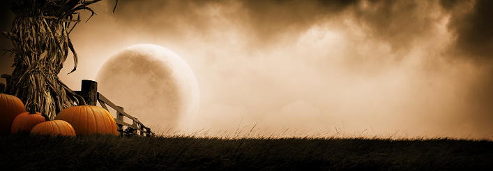A corn stalk and pumpkins in front of a full moon rising over a grassy hill.