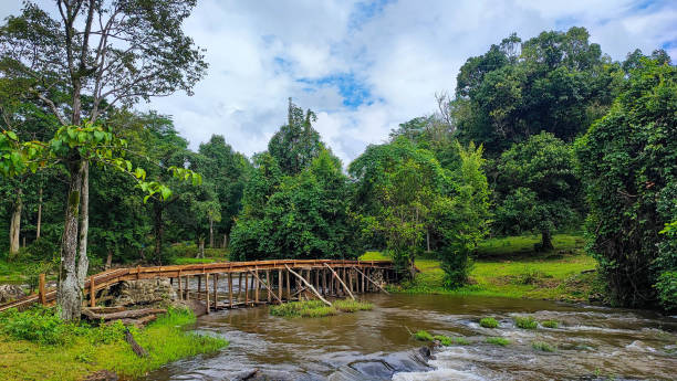 istock The bridge construction cross the big clean waterfall to green yard. 1553478864
