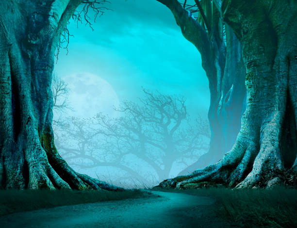Path Through A Haunted Forest - fotografia de stock