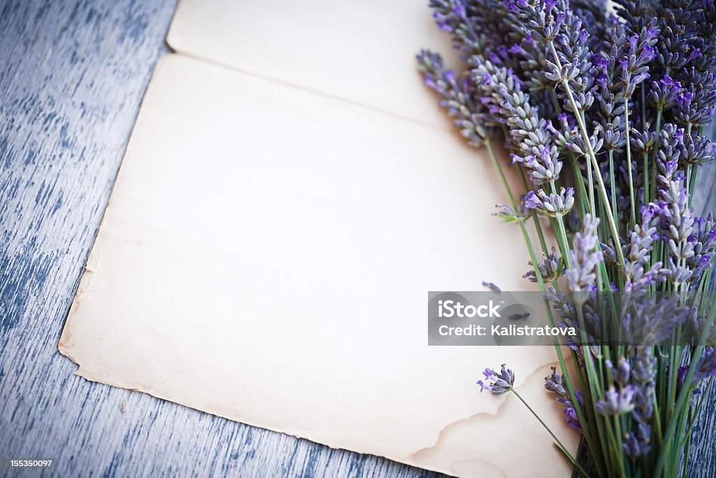 Flores de Lavanda - Royalty-free Aromaterapia Foto de stock