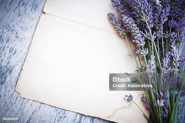Flores De Lavanda - Fotografias de stock e mais imagens de Aromaterapia - Aromaterapia, Azul, Bouquet