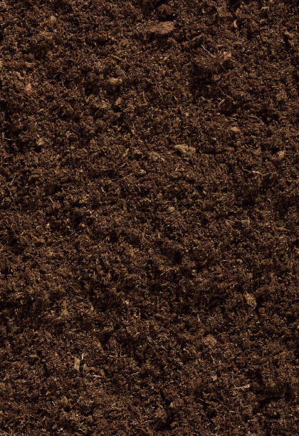 istock Organic Potting Soil Background 155350348