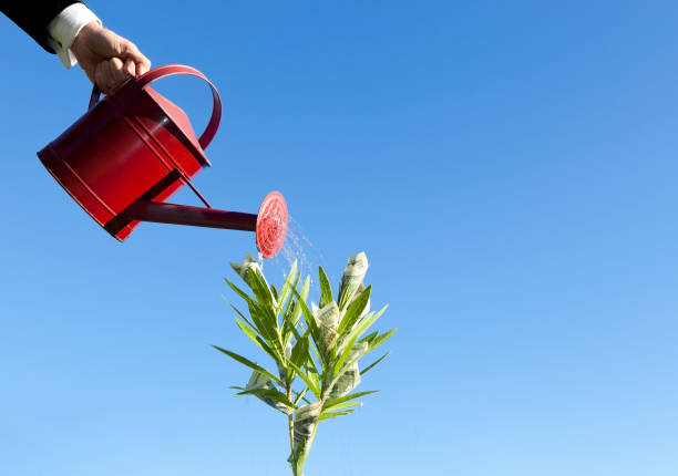 plant growing money being watered by a watering can against blue sky - copy space