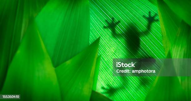Layers Of Leaves With A Tree Frog Silhouette Stock Photo - Download Image Now - Frog, Leaf, Rainforest