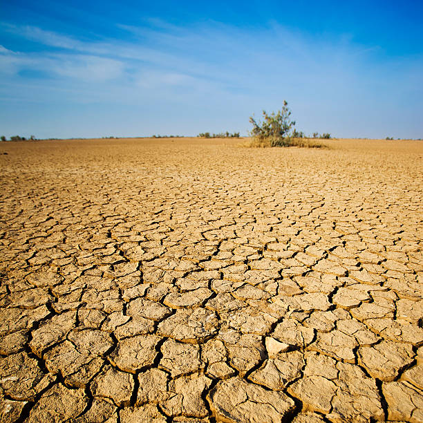 The Desert In Western India Cracking Dirt In The Desert Of Western India dry cracked soil stock pictures, royalty-free photos & images