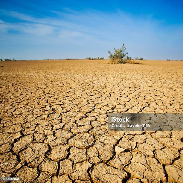 The Desert In Western India Stock Photo - Download Image Now - Drought, Climate Change, Barren