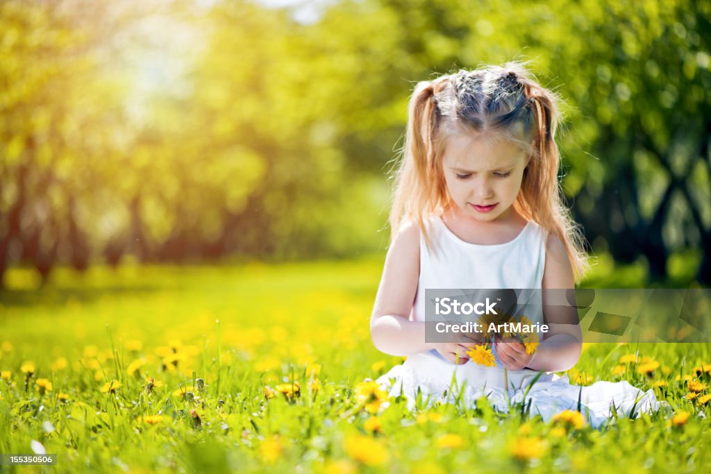 Niña sentada en un campo de dandelions - Foto de stock de Niñas libre de derechos