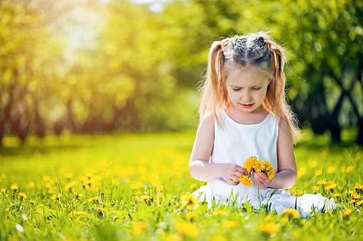 Adorable little girl in blooming dandelion meadow on beautiful spring day